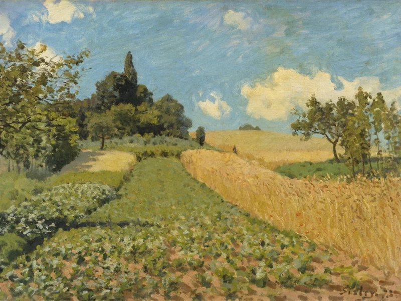 1839-Alfred Sisley - Il campo di grano